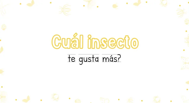 Cual te gusta mas Insectos